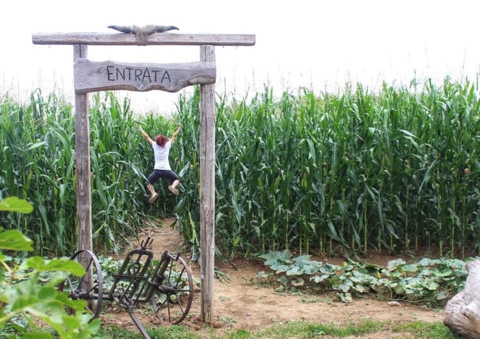 La Selce Farmhouse Bagnario Arsa Exterior foto