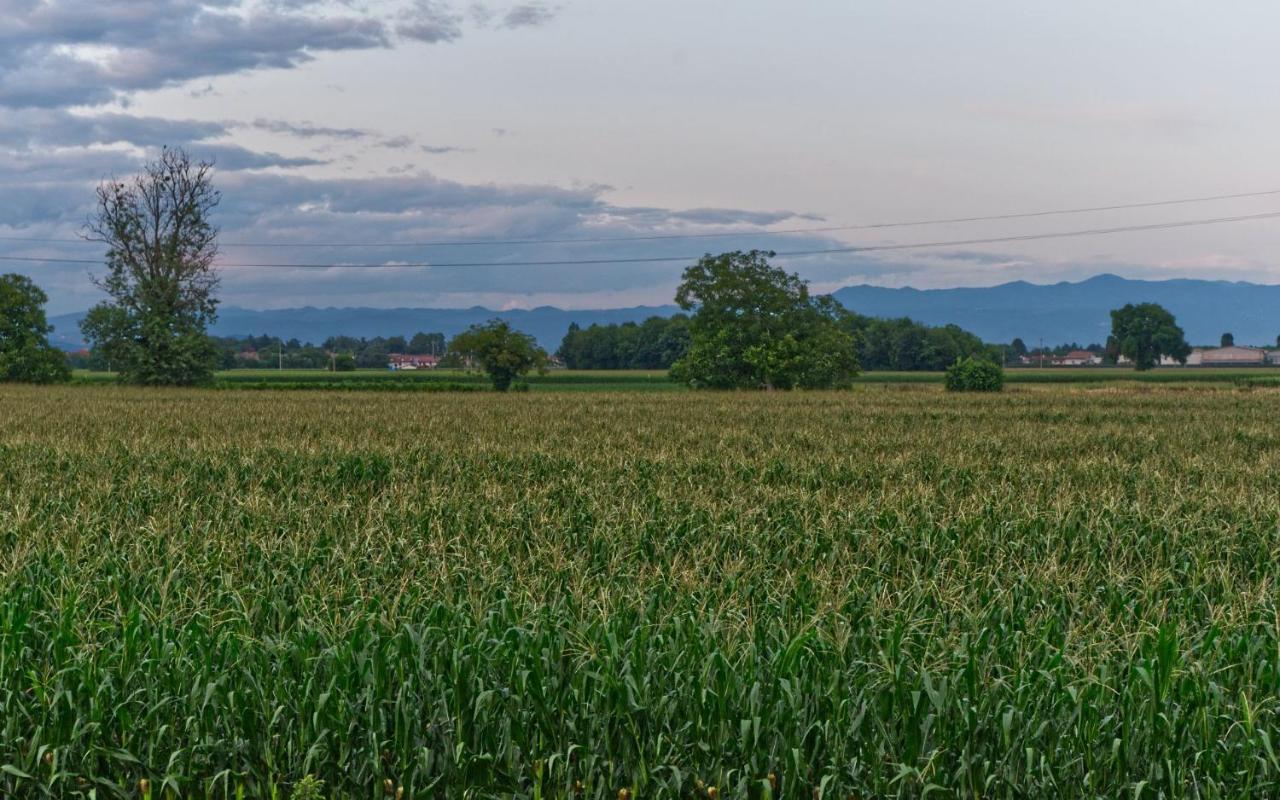 La Selce Farmhouse Bagnario Arsa Exterior foto